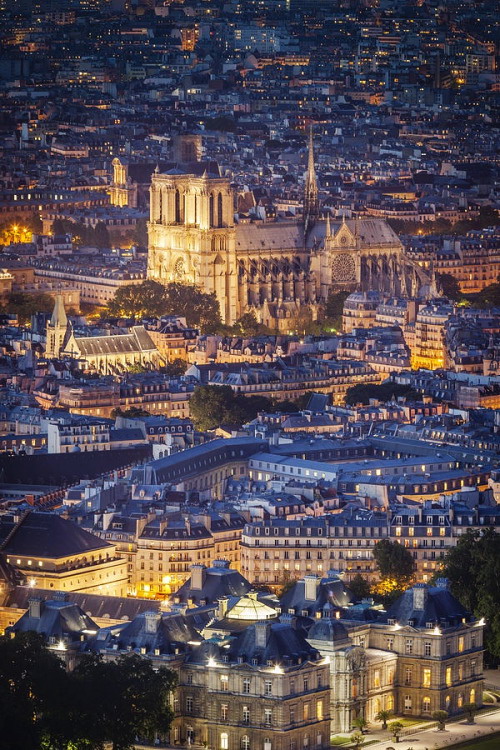 paris notre dame