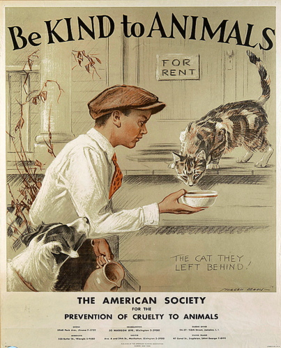 be kind to animals000