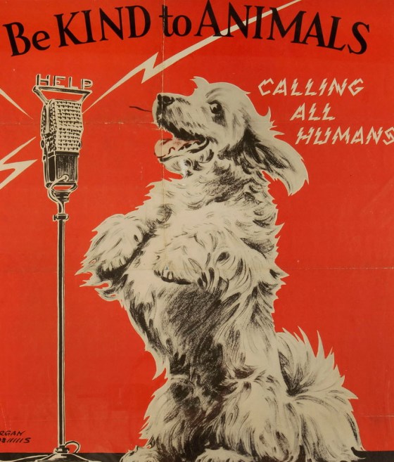 be kind to animals001