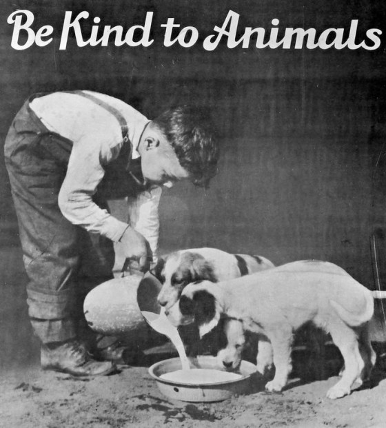 be kind to animals002