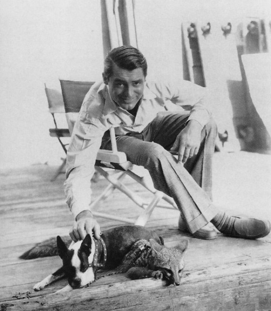 cary grant 3322