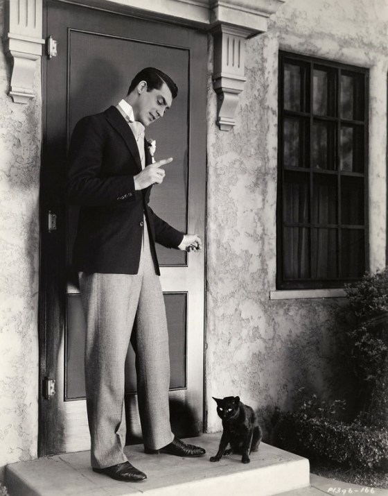 cary grant and a cat