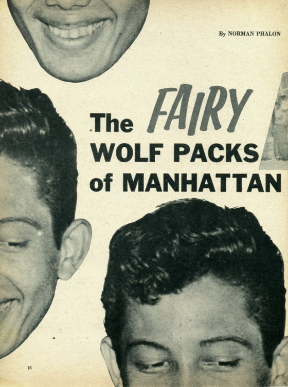 fairy wolfpacks