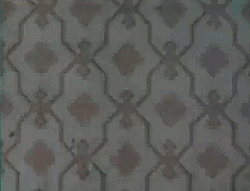 Intermission GIF 250