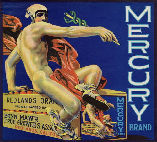 mercury brand oranges