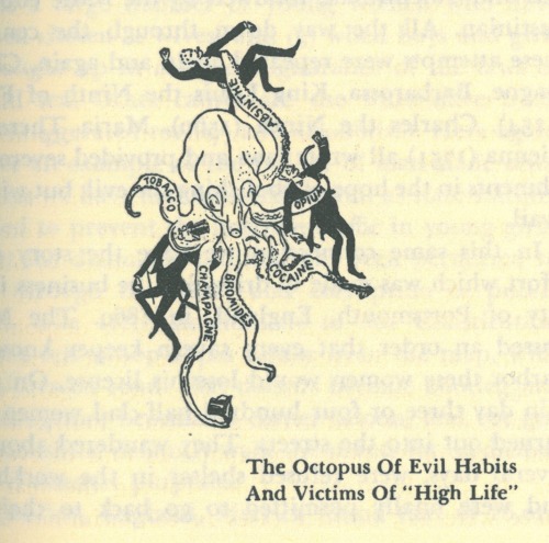 octopus of evil habits