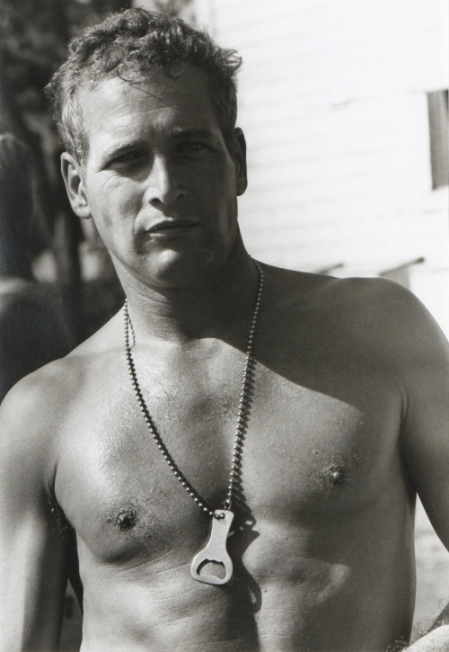 paul newman shirtless 244