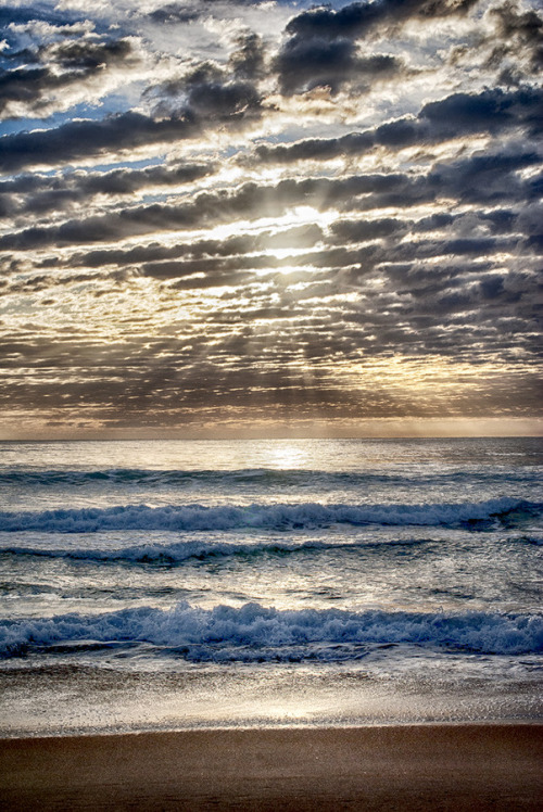 The Mornings are Lines by Shane Powell