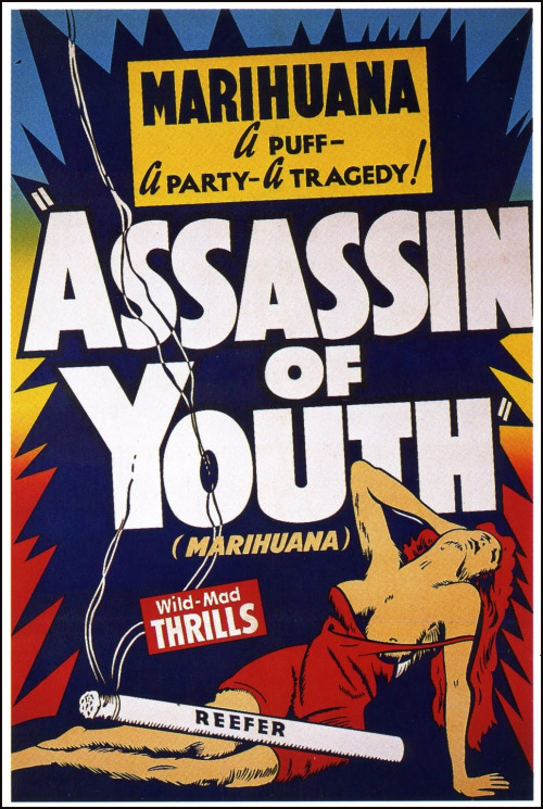 marihuana assassin of youth