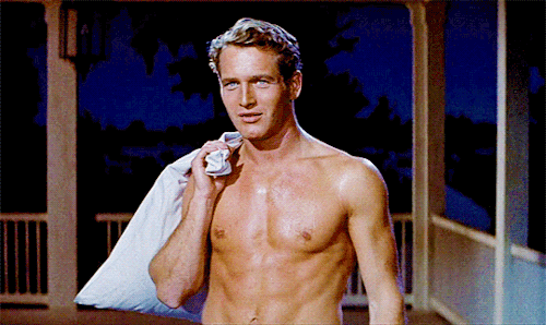 paul newman shirtless 500 GIF
