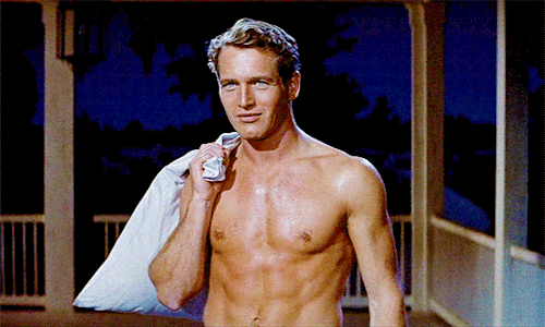 paul newman shirtless 501 GIF