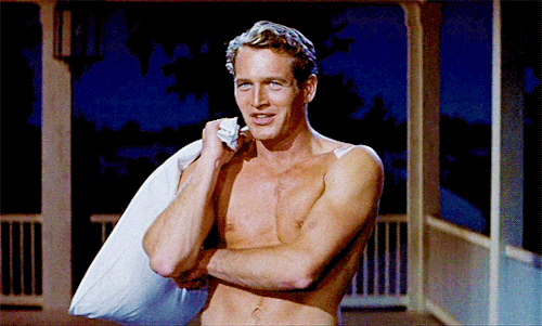paul newman shirtless 502 GIF