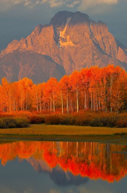 autumn colorado 131