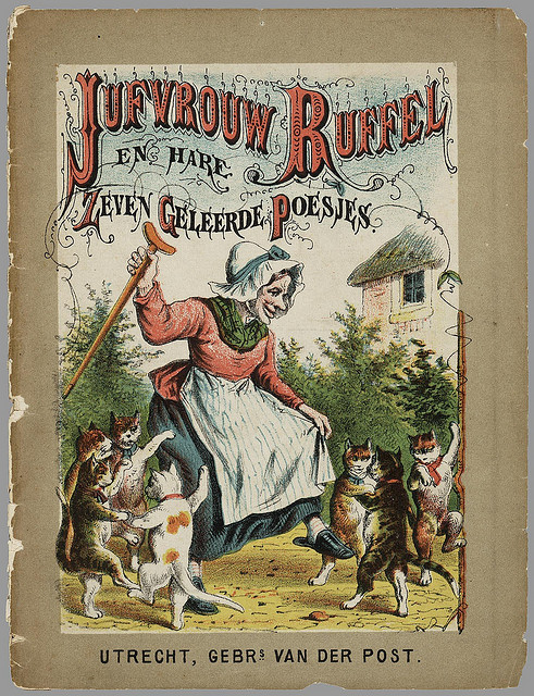 kittens netherlands001