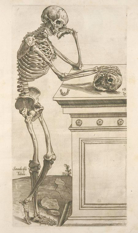 skeleton