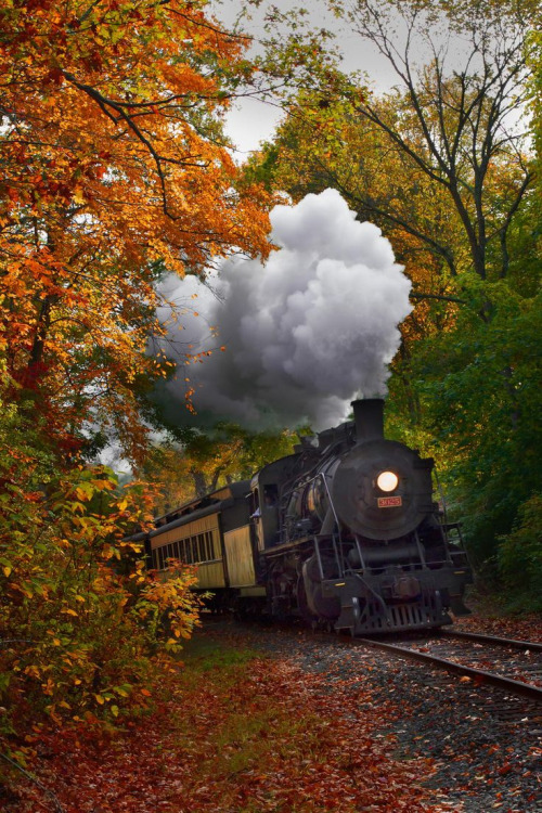 train foliage
