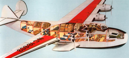 airplane cross section 501