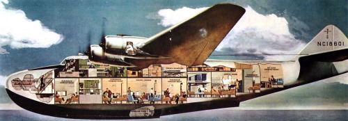 airplane cross section 502