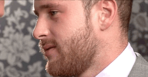 biz kiss alex marte 500