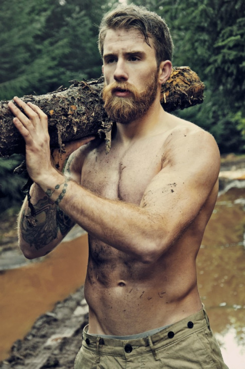 lumberjack 9504