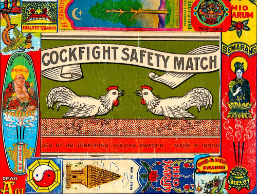 match cockfight