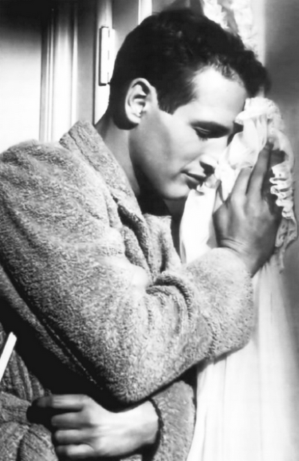 paul newman cat on a hot 2