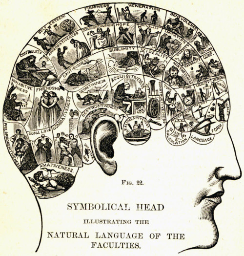 phrenology 4