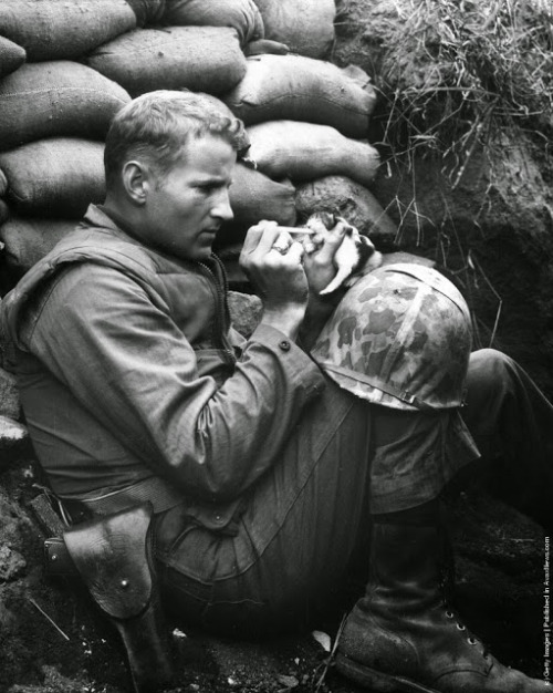 US soldier korean war