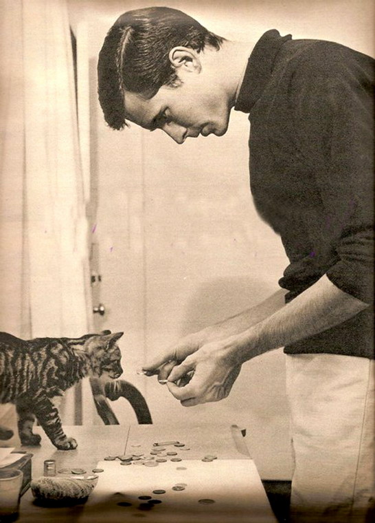 anthony perkins cat