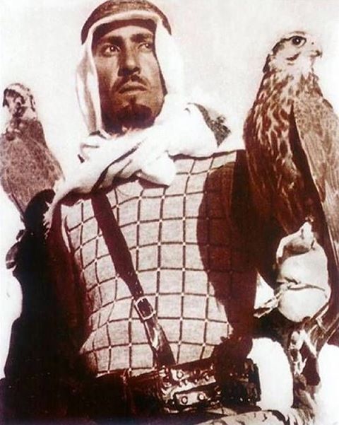 arab falconer 4