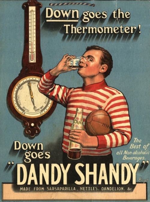 dandy shandy