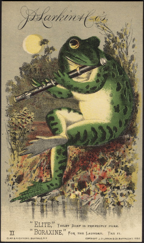 frog toilet water 1281