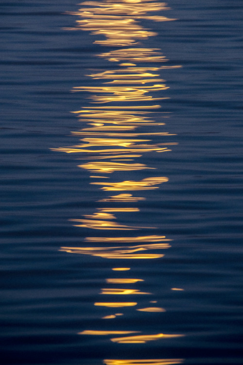 Moon Shine by Steve Corey