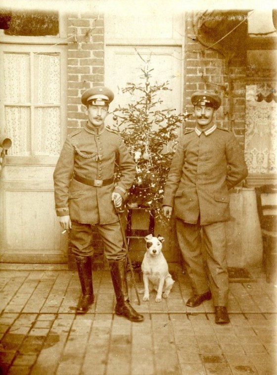 PAY-canines-at-war-4