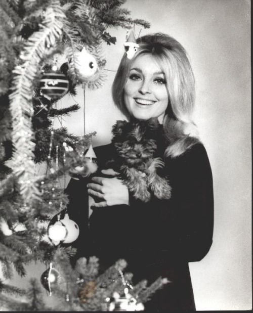 sharon tate xmas