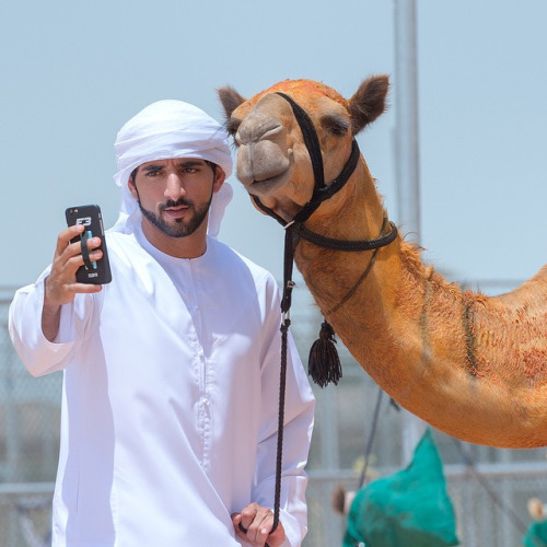 arab camel selfie