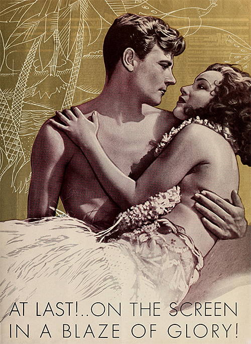 birds of paradise 500