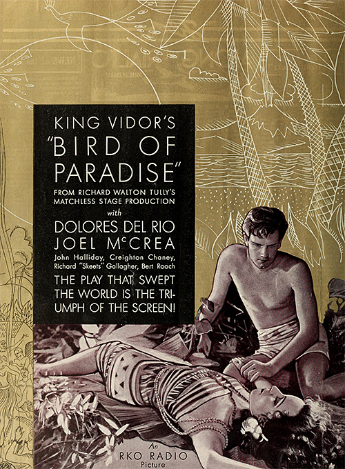 birds of paradise 501