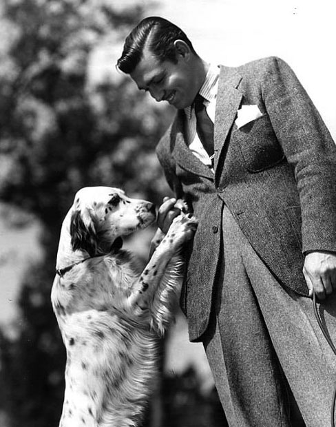 clark gable with a dog 24