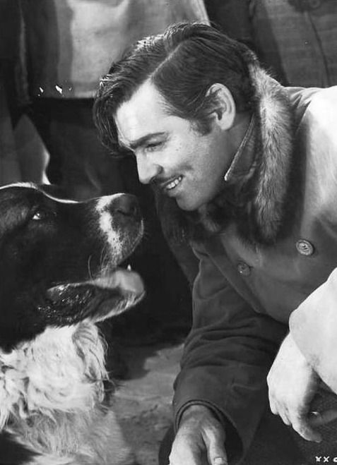clark gable with a dog 25