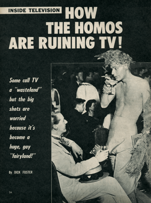 homos ruining TV