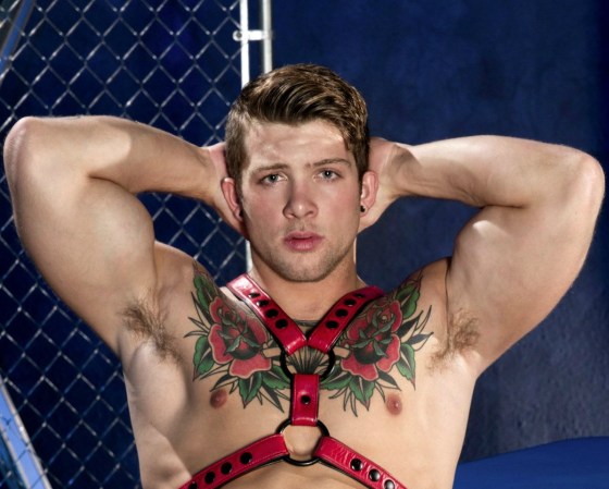 leather sebastian kross