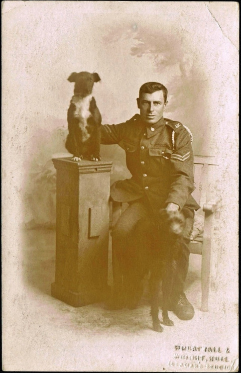 man and dog 323