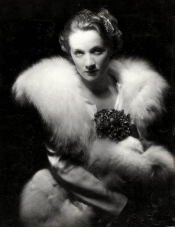 marlene dietrich 1931