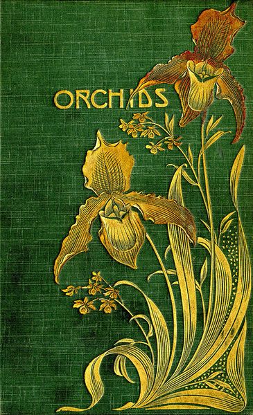 orchids 0