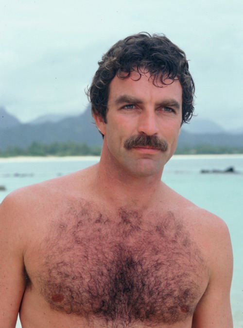 stache selleck 2