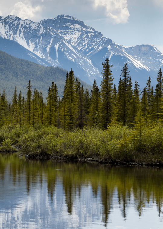 Vermillion lakes banff by Corey Hayes