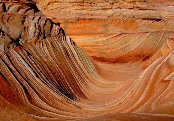 Coyote Butte North, Arizona