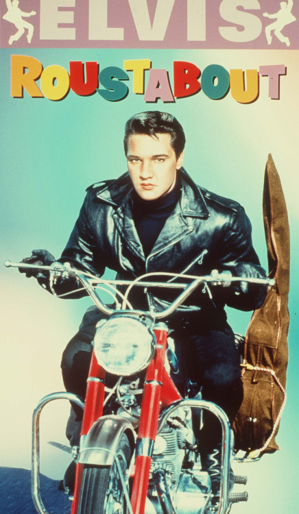 elvis roustabout