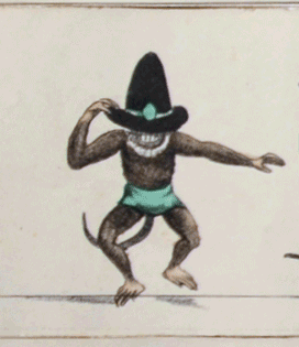 monkey dancing GIF